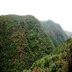 ����ɽ��Ƭ��